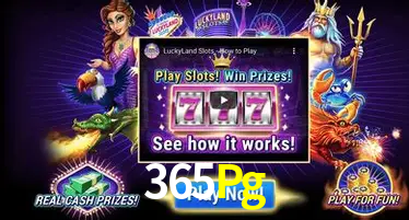 Tecnologia da Plataforma 365Pg